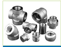 Forged Fittings